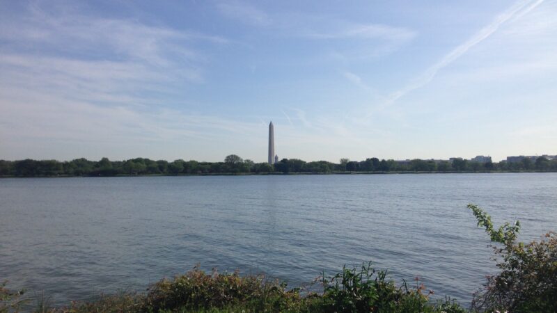Lady Bird Johnson Park - Washington,