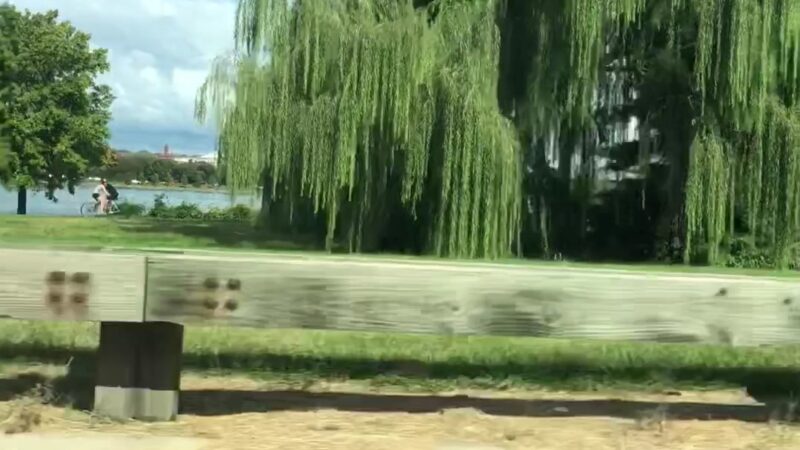 Lady Bird Johnson Park - Washington,