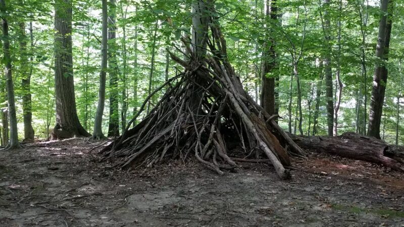 Little Forest Park - Washington,