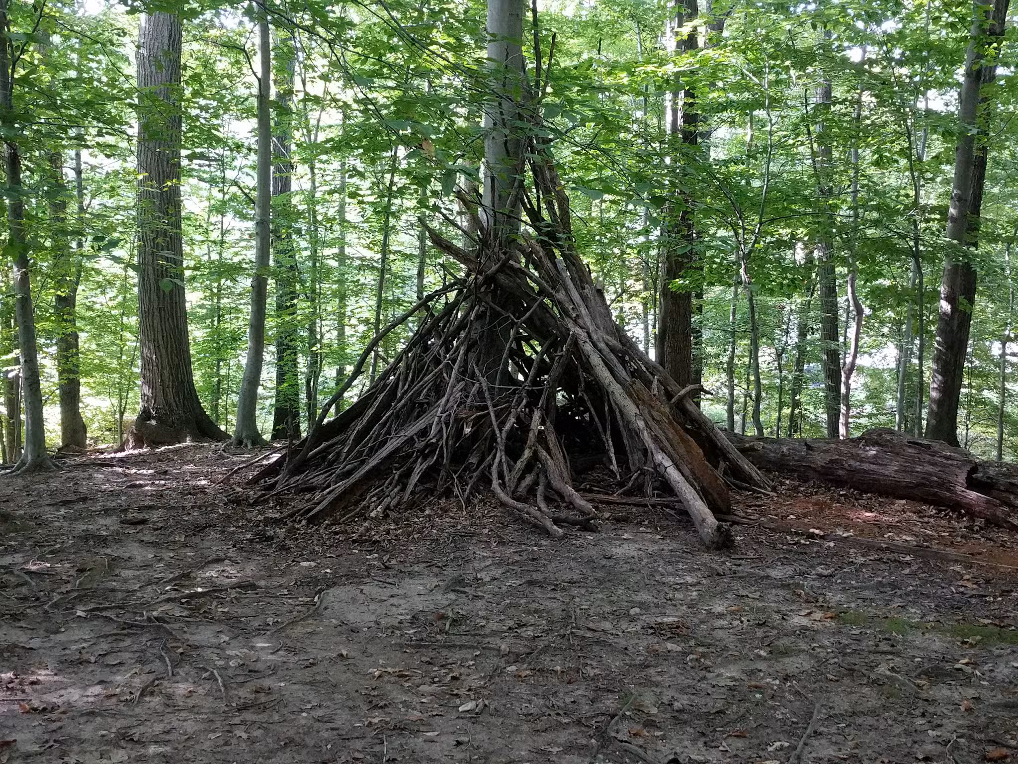 Little Forest Park - Washington,