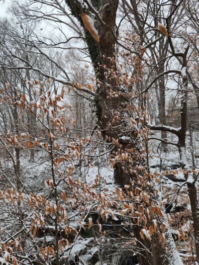 Potomac Palisades Parkway - Washington,