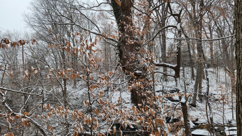 Potomac Palisades Parkway - Washington,