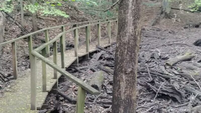 Reservation 630 - Washington,