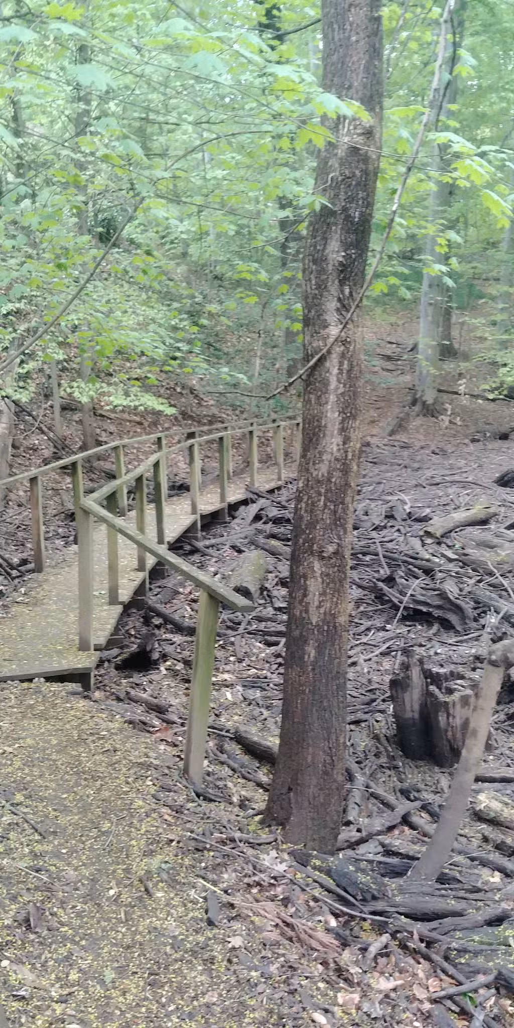 Reservation 630 - Washington,