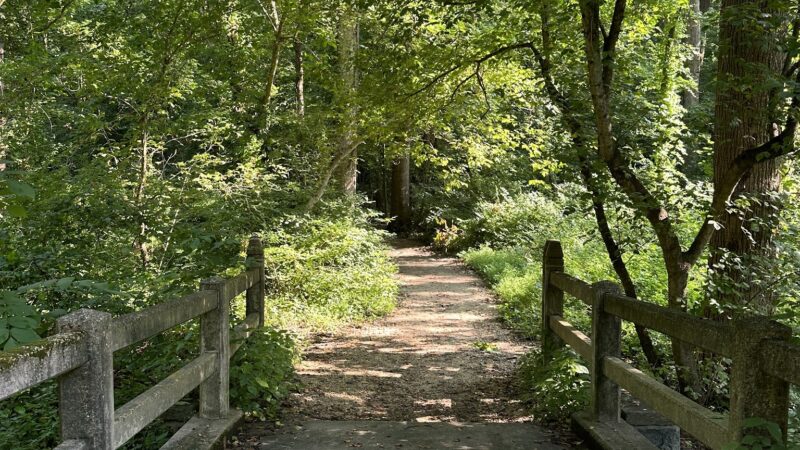Rock Creek Trail Juniper Trailhead - Washington,
