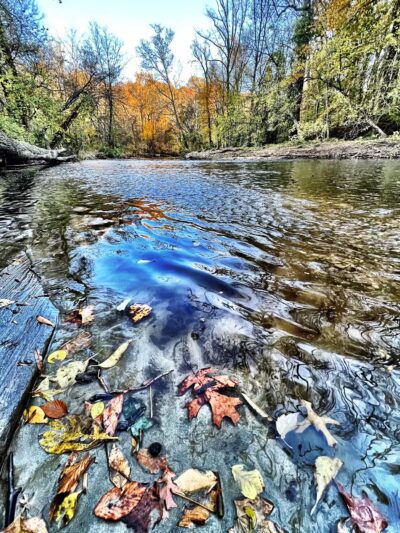 Rock Creek Trail Juniper Trailhead - Washington,