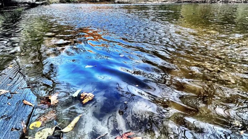 Rock Creek Trail Juniper Trailhead - Washington,