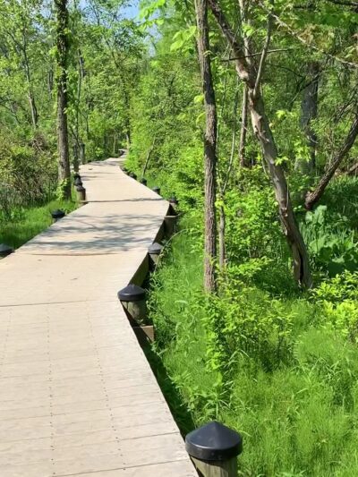 Roosevelt lsland Park - Washington,