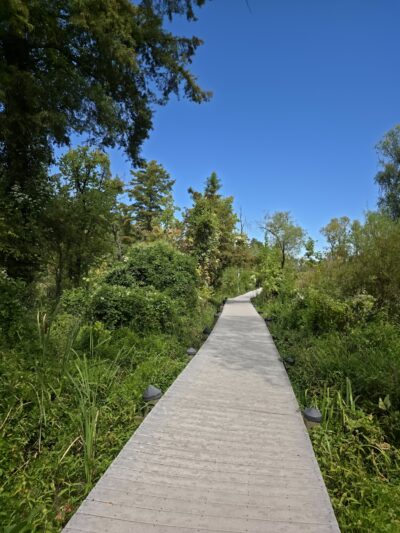 Roosevelt lsland Park - Washington,