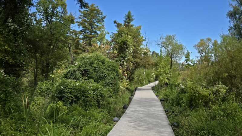 Roosevelt lsland Park - Washington,