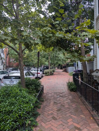 Rose Park Tot Lot - Washington,