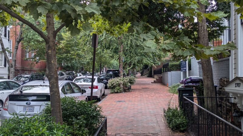 Rose Park Tot Lot - Washington,