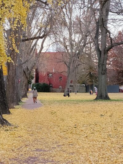 Rose Park Tot Lot - Washington,