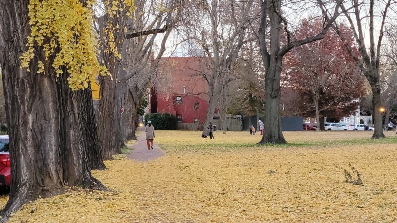 Rose Park Tot Lot - Washington,