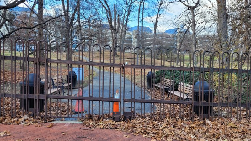 Squirrel Park - Washington,