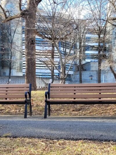 Squirrel Park - Washington,