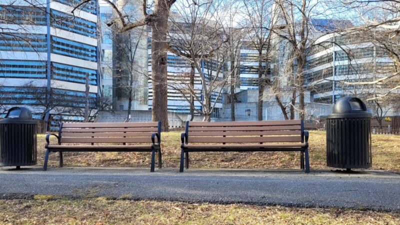 Squirrel Park - Washington,