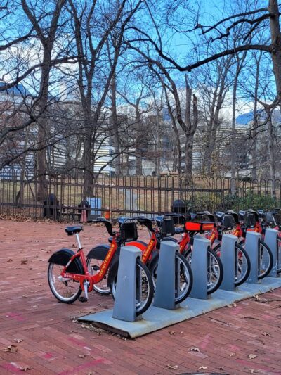 Squirrel Park - Washington,