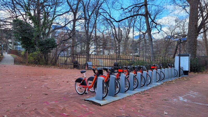 Squirrel Park - Washington,