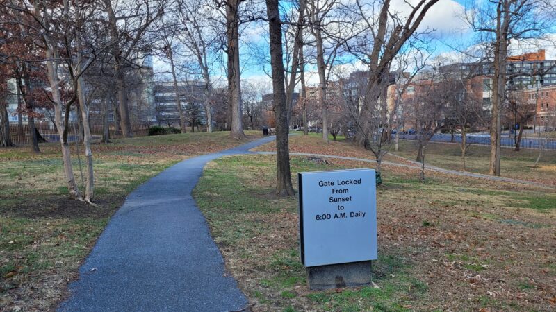 Squirrel Park - Washington,