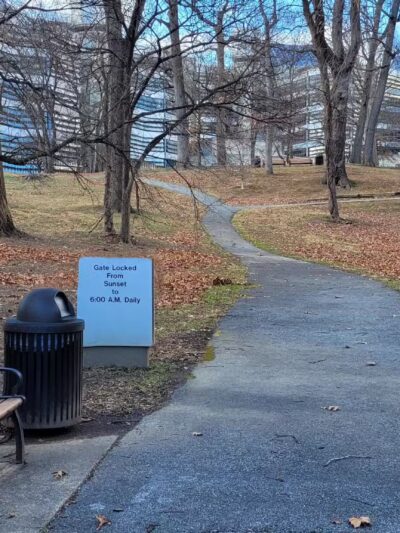 Squirrel Park - Washington,