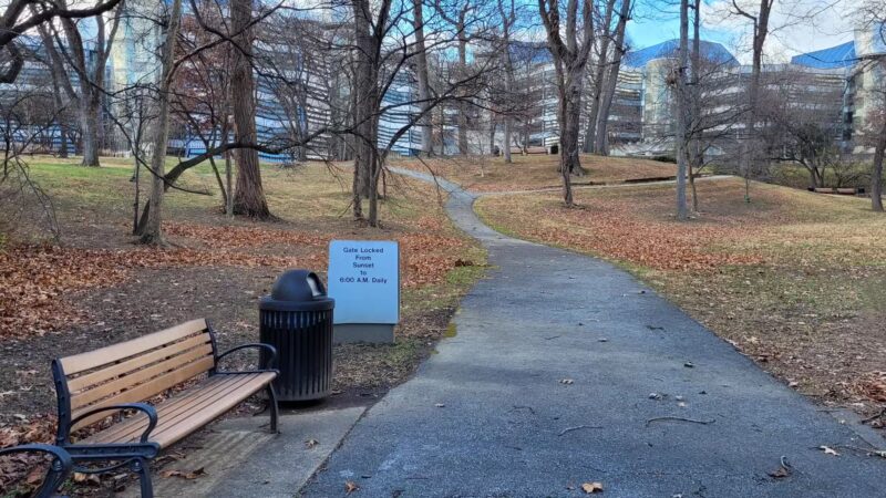 Squirrel Park - Washington,