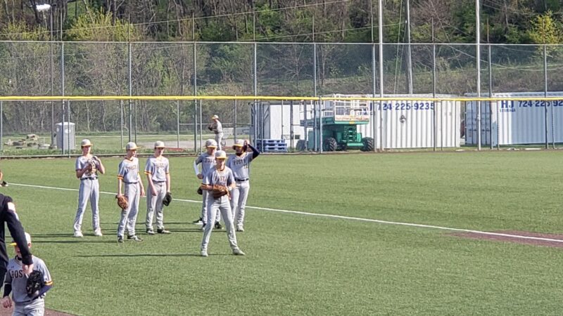 Washington Wild Things - Washington, PA