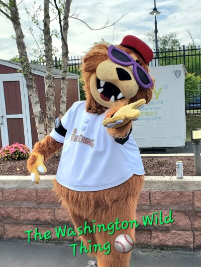 Washington Wild Things - Washington, PA