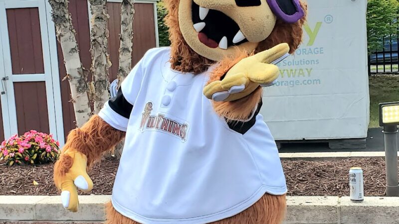 Washington Wild Things - Washington, PA