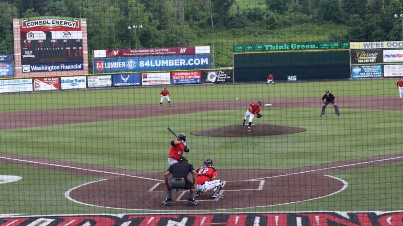 Washington Wild Things - Washington, PA