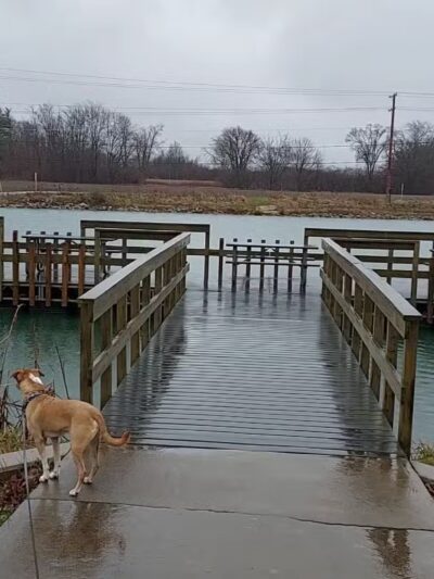 Oak Grove Park - Washington Township, OH