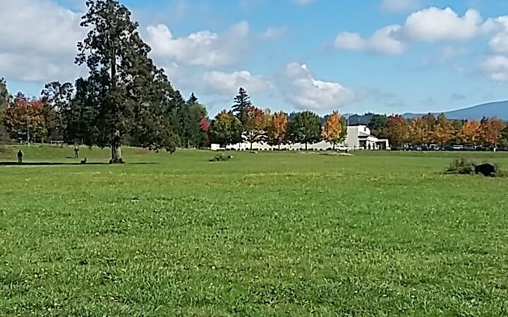 Stevenson Off Leash Dog Park - Washougal, WA