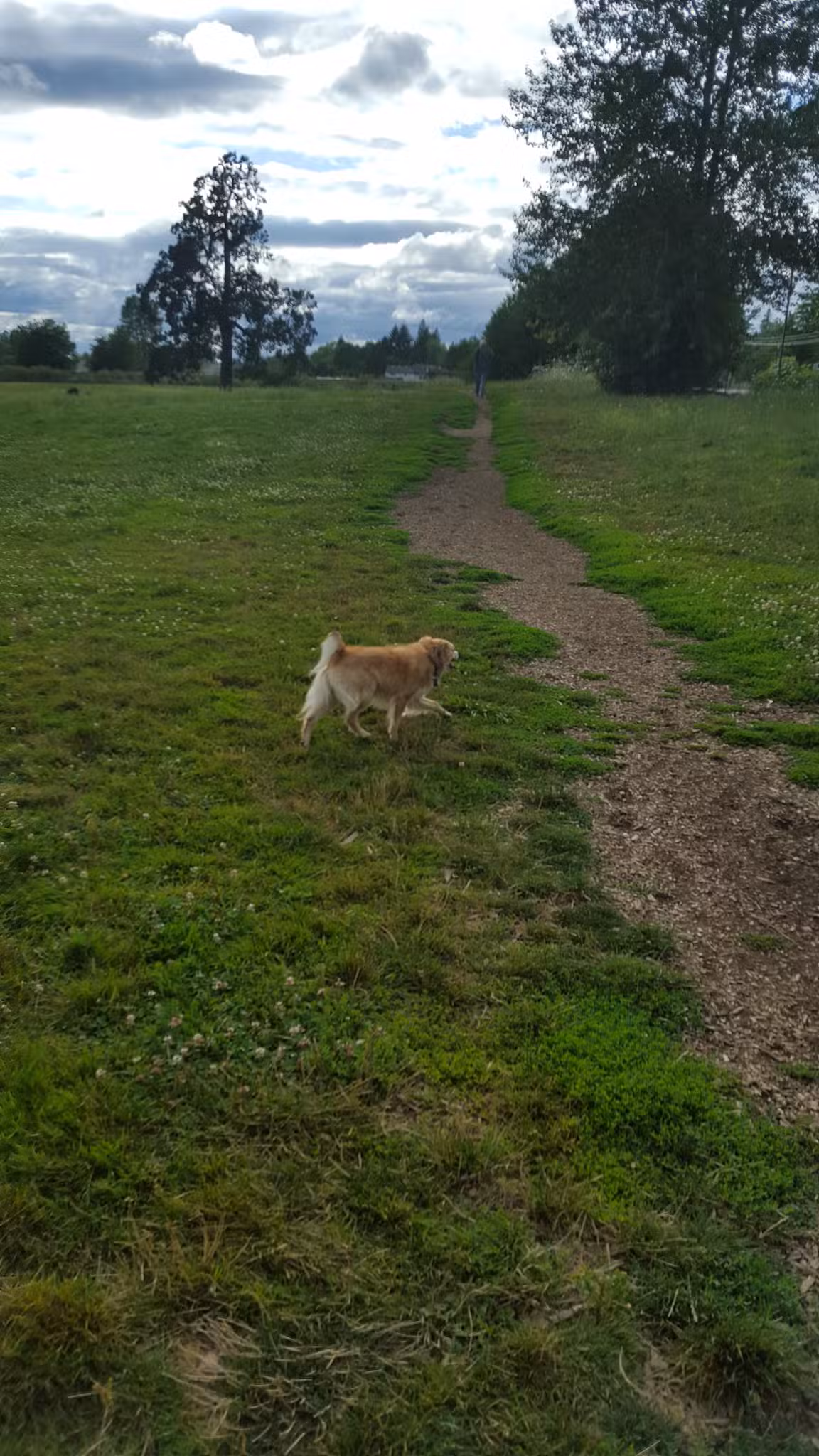 Stevenson Off Leash Dog Park - Washougal, WA