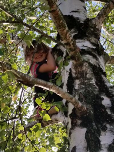 Stevenson Off Leash Dog Park - Washougal, WA