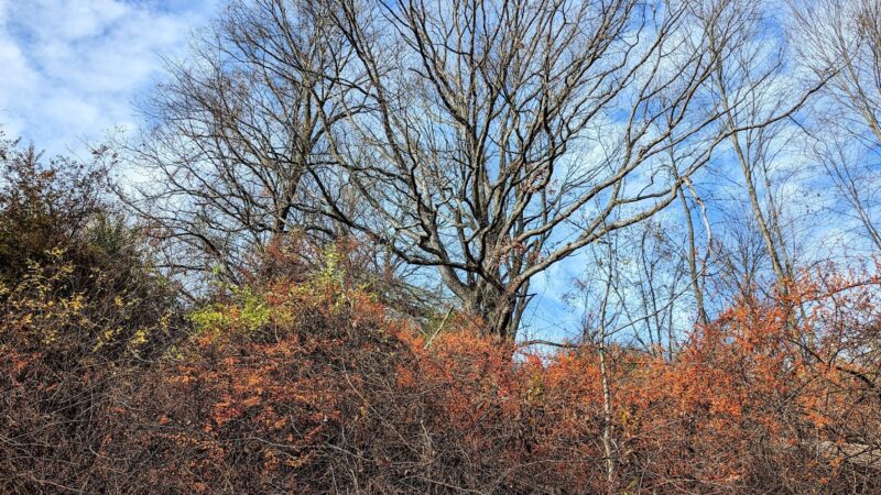 Harlem Valley Rail Trail - Wassaic, NY