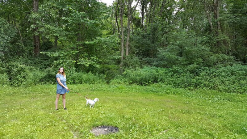 Wassaic Multiple Use Area - Wassaic, NY