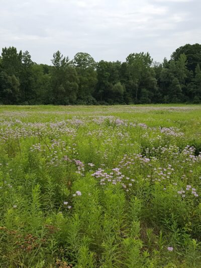 Wassaic Multiple Use Area - Wassaic, NY