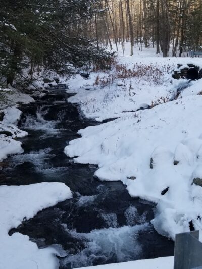 Wassaic Multiple Use Area - Wassaic, NY