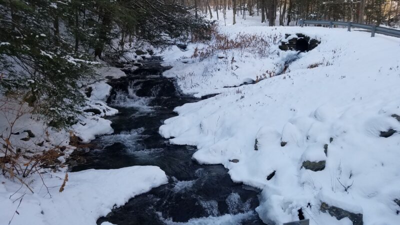 Wassaic Multiple Use Area - Wassaic, NY