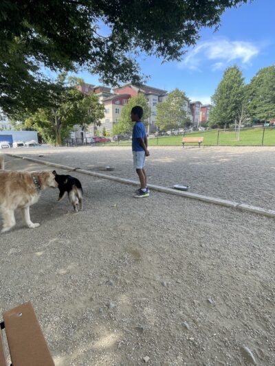 How Park Off - Leash Area - Watertown, MA