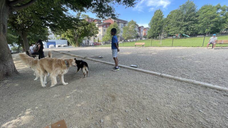 How Park Off - Leash Area - Watertown, MA