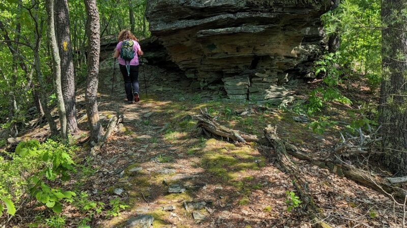 Little Pine State Park - Waterville, PA
