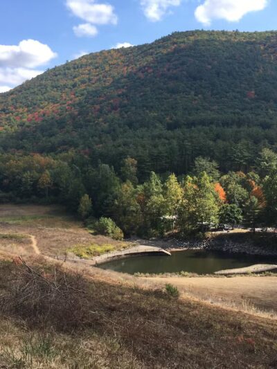 Little Pine State Park - Waterville, PA