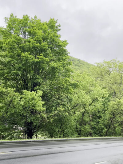 Waterville Recreational Parking - Waterville, PA