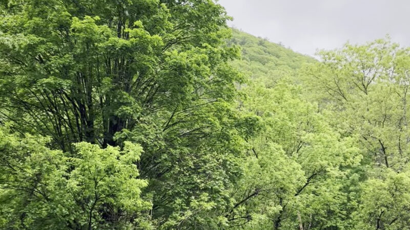 Waterville Recreational Parking - Waterville, PA