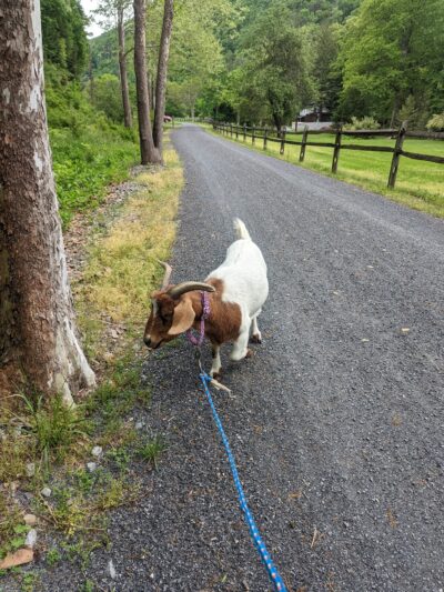 Waterville Recreational Parking - Waterville, PA