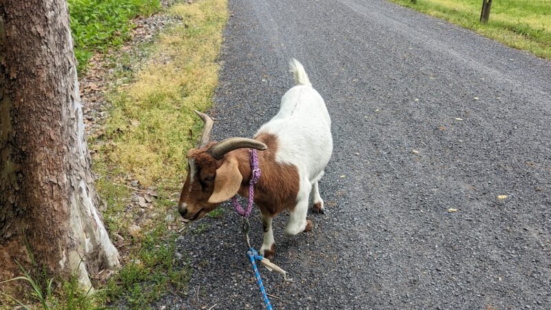 Waterville Recreational Parking - Waterville, PA