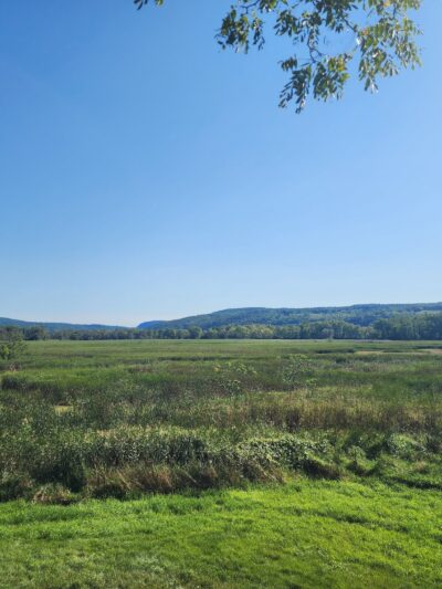 Catharine Creek Wildlife Management Area - Watkins Glen, NY
