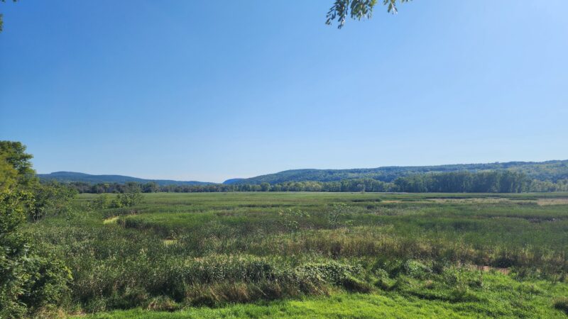Catharine Creek Wildlife Management Area - Watkins Glen, NY