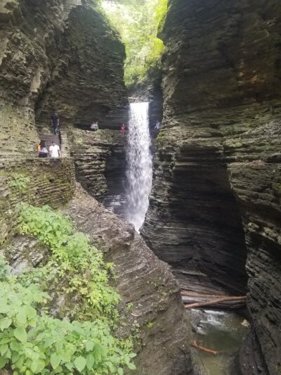Catharine Creek Wildlife Management Area - Watkins Glen, NY